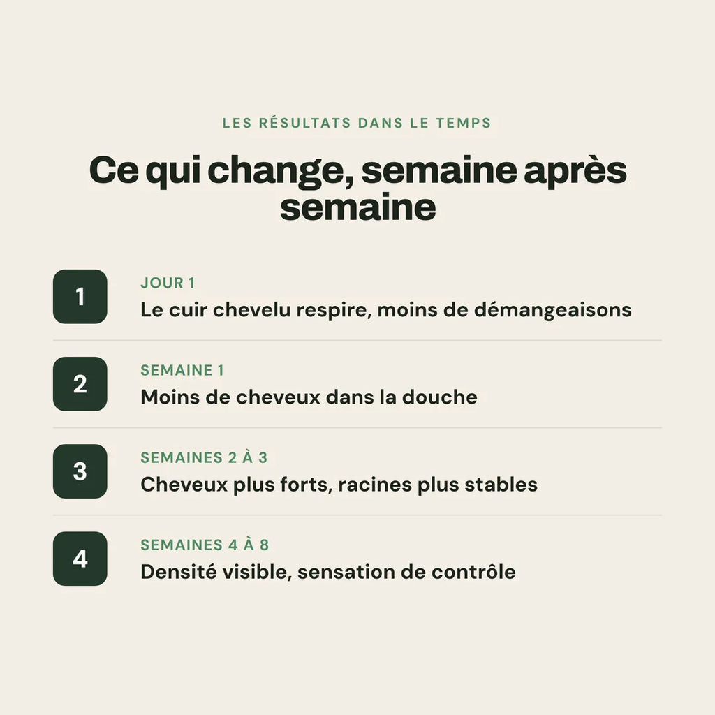 12-timeline