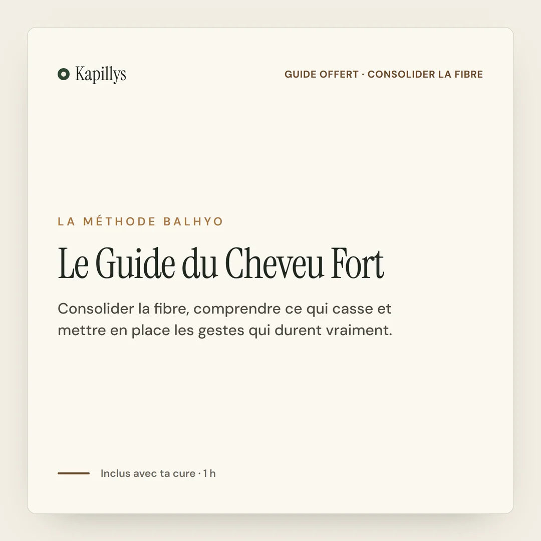 Le Guide du Cheveu Fort (PDF)